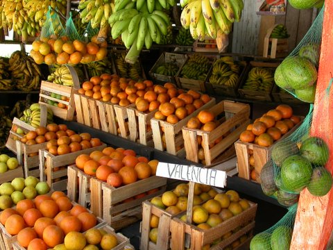 fruit shop