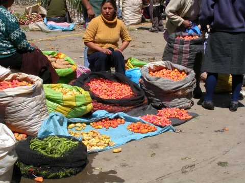 market 4 potatoes